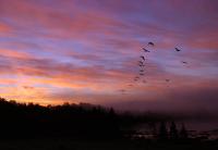 Ontario Morning, Algonquin National Park, Ontario, Canada